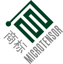 логотип Микротензор